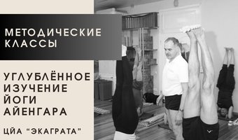 7 и 8 октября состоятся сессии Методического курса "Углублённое изучение йоги Айенгара"